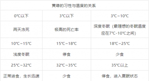 龟缸如何布置？龟缸打造：1千元花出了10万元的效果，新手可学