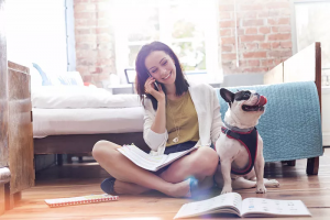 如何选纯种的法国斗牛犬？法国斗牛犬的缺点