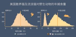 折耳猫为啥不建议养？不建议养折耳猫的原因