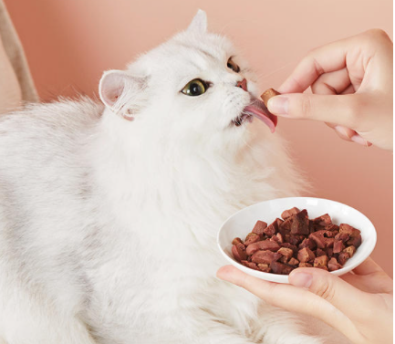 可以让猫咪越吃越美丽的食物有什么？