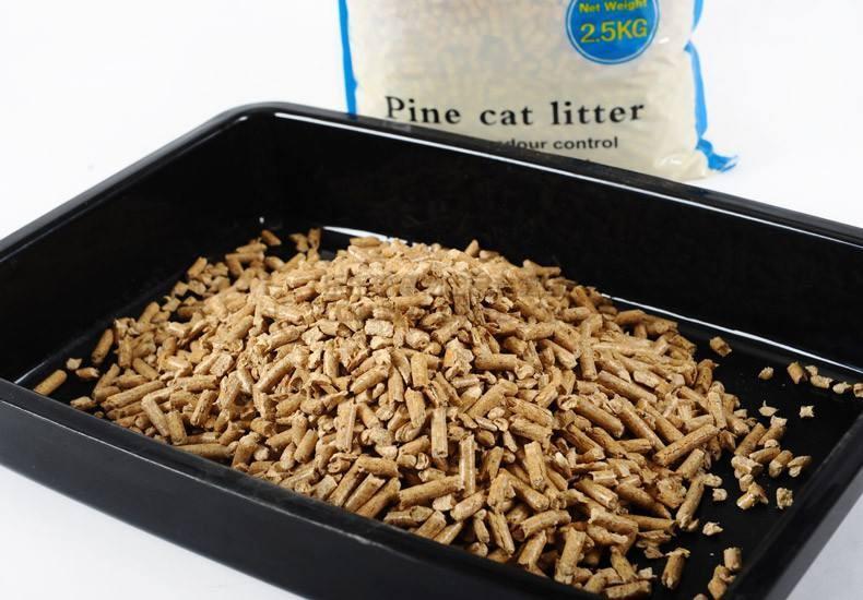 如何挑选合适的猫砂？推荐十款好用不贵的猫砂