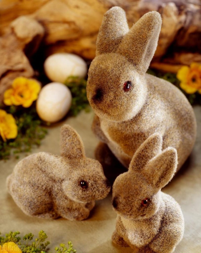 幼兔为什么不能吃新鲜蔬菜？兔子能吃菠菜吗？