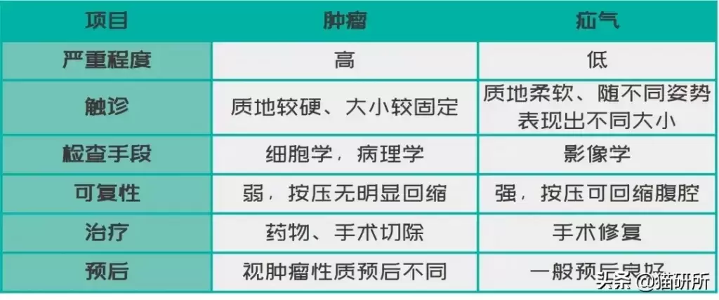 猫咪疝气是怎么引起的？别忽略了疝气早期症状