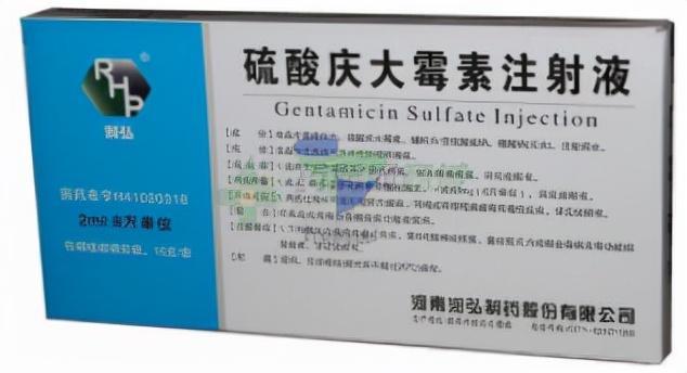 宠物医院不会告诉你，在家中常备这几种药，宠物再也不怕生病