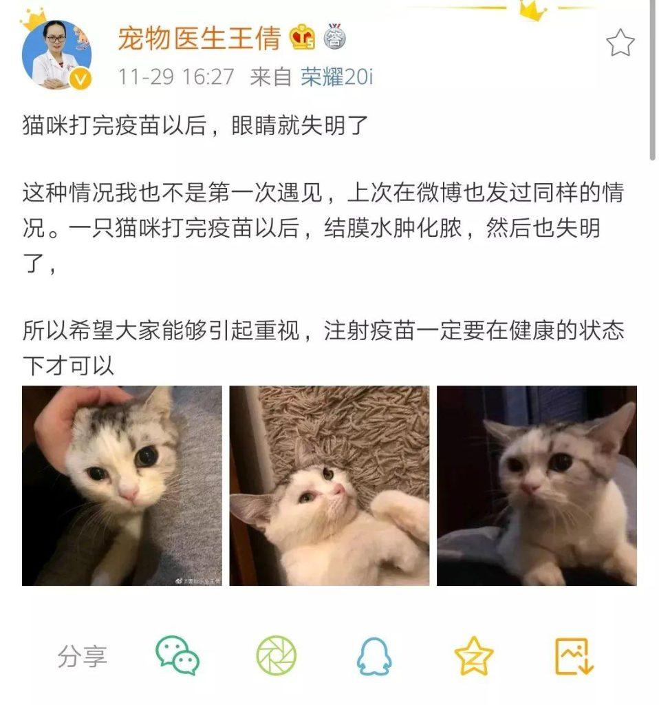 猫必须打疫苗吗？猫打疫苗有什么好处？