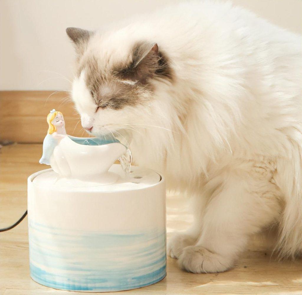 猫每天需要喝多少水?你家“主子”每天的饮水量达标了吗？