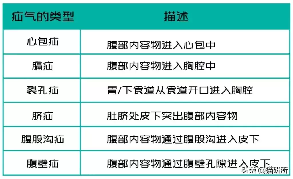 猫咪疝气是怎么引起的？别忽略了疝气早期症状