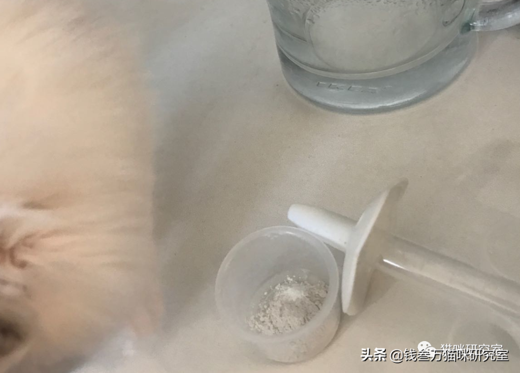 如何用人的药治疗小猫拉稀？成本仅需几块钱