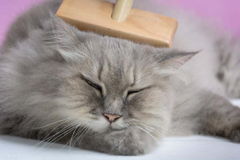 养猫日记：猫咪化毛膏吃多了会怎样？