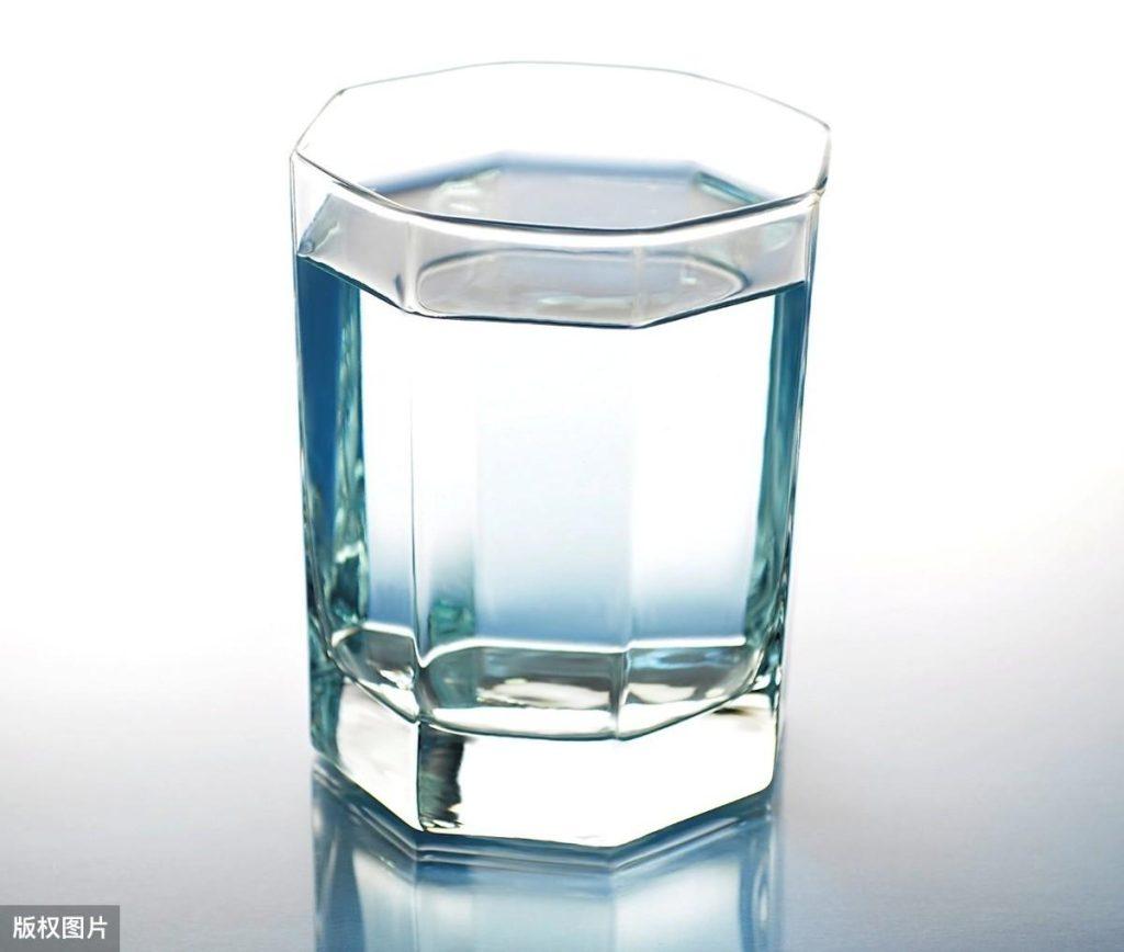 关于比熊喝水那些事儿：比熊犬喝水禁忌
