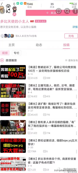 靠谱的宠物托运应该是怎么样的？宠物托运的全过程讲解