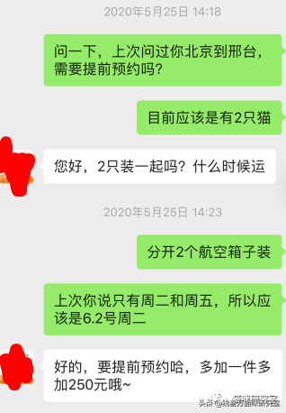 靠谱的宠物托运应该是怎么样的？宠物托运的全过程讲解