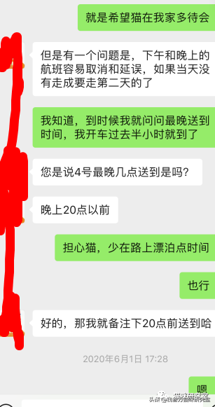 靠谱的宠物托运应该是怎么样的？宠物托运的全过程讲解