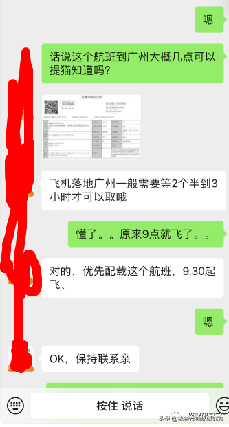 靠谱的宠物托运应该是怎么样的？宠物托运的全过程讲解