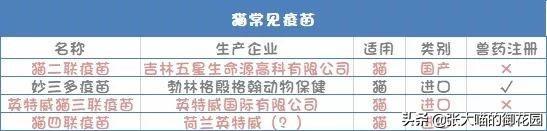 别再给猫咪狗狗注射这些假疫苗了！这些都是宠物主人交的智商税