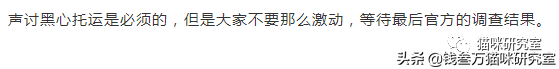 靠谱的宠物托运应该是怎么样的？宠物托运的全过程讲解