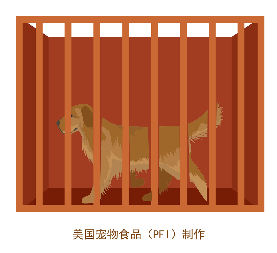 如何挑选一个合适的狗笼？ 如何让狗狗愿意进入狗笼？