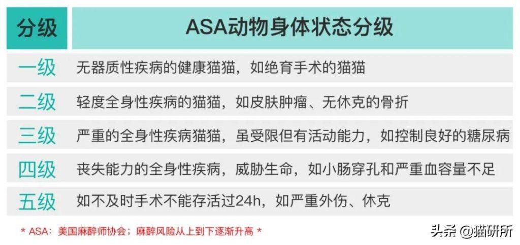 猫咪全身麻醉都有哪些风险？哪些猫猫群体麻醉风险高？