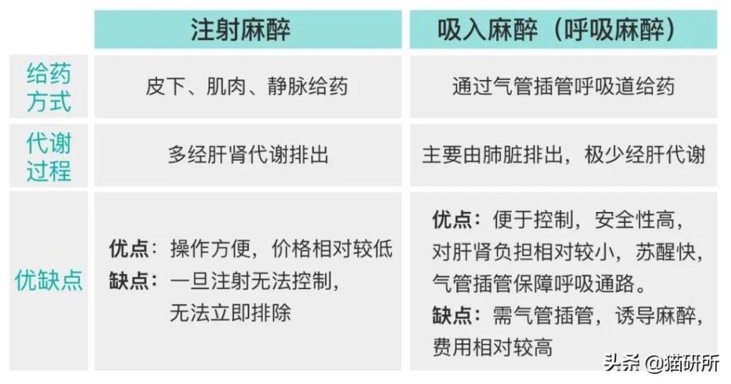 猫咪全身麻醉都有哪些风险？哪些猫猫群体麻醉风险高？