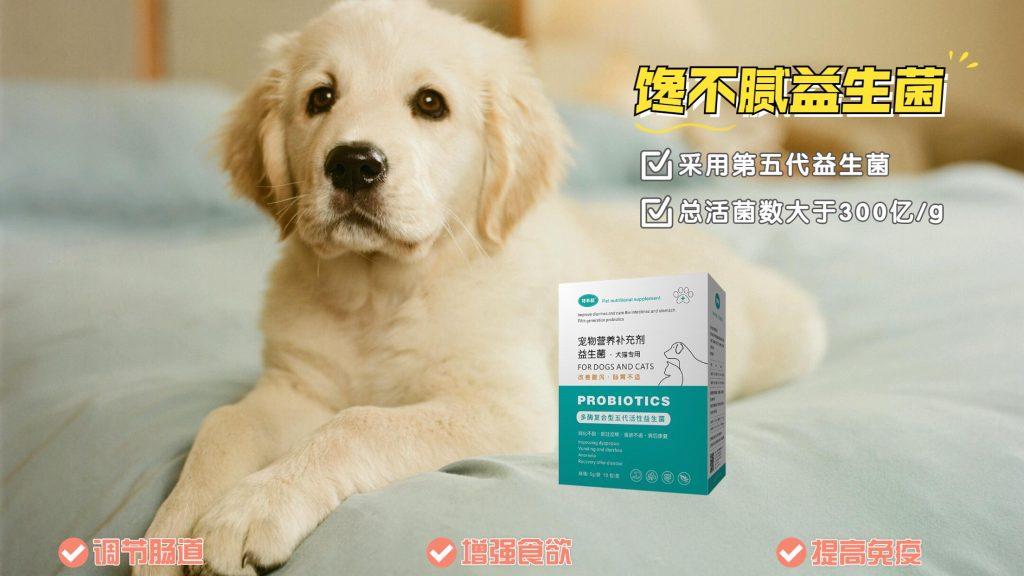 金毛犬偏瘦怎么办？金毛犬常见偏瘦的原因