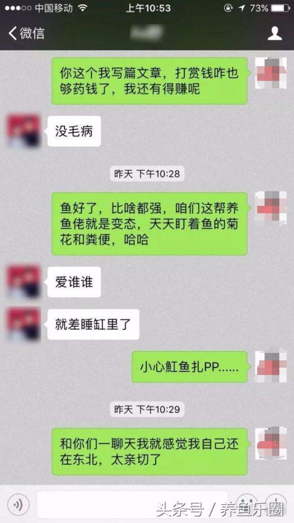 龙鱼反复脱肛怎么办？大体上也就几种原因导致的，教你这种方法