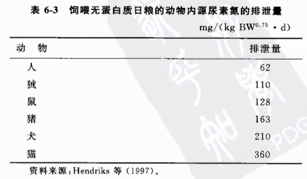 猫高蛋白饮食的常见四大误区，铲屎官了解过吗？