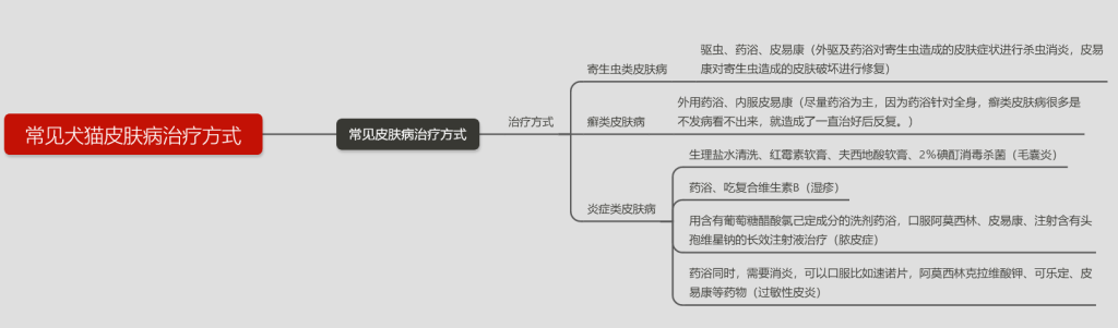 犬猫最容易被误诊的皮肤病——内分泌紊乱（猫咪内分泌失调会发生皮肤病吗）