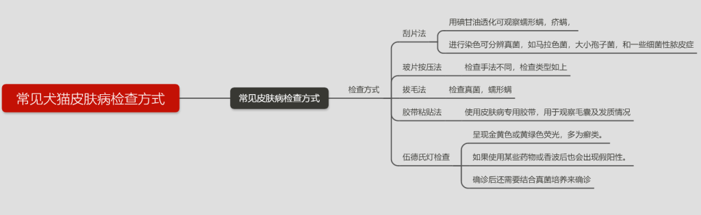 犬猫最容易被误诊的皮肤病——内分泌紊乱（猫咪内分泌失调会发生皮肤病吗）